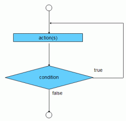 do loop structure