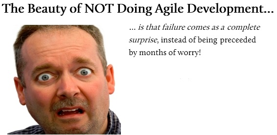 Not Doing
Agile Development