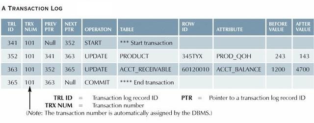 Transaction Log.