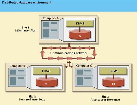 Distributed database environment.