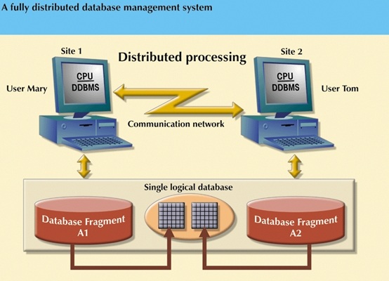 A fully distributed database management system.