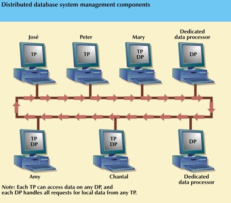 Distributed database system management components.
