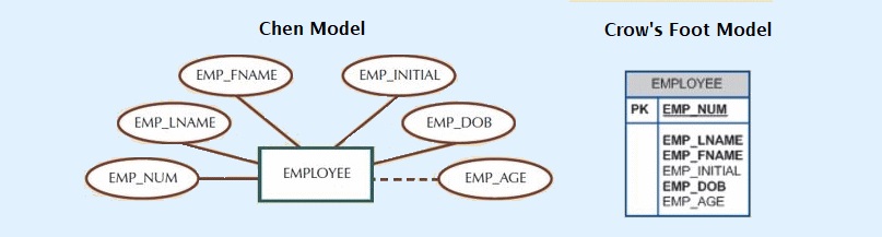 Derived attribute.