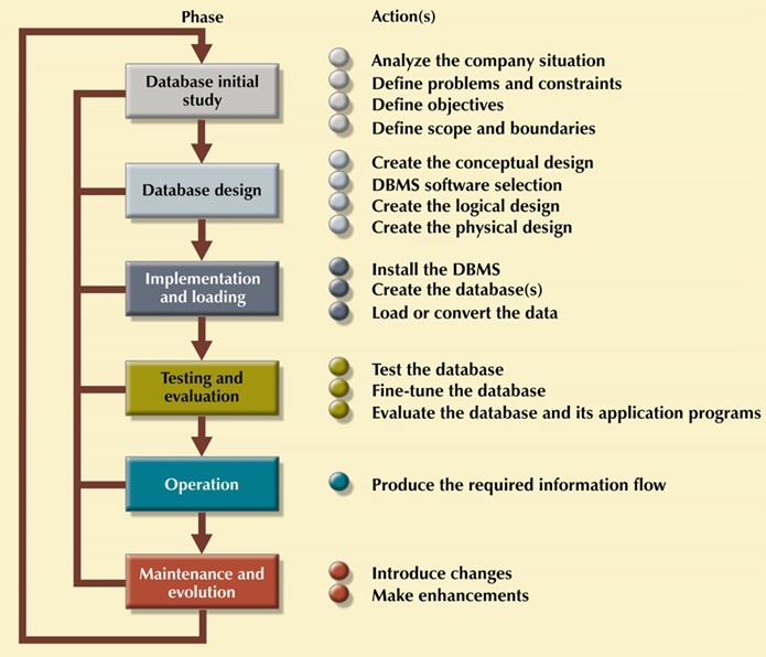 Database Life Cycle.